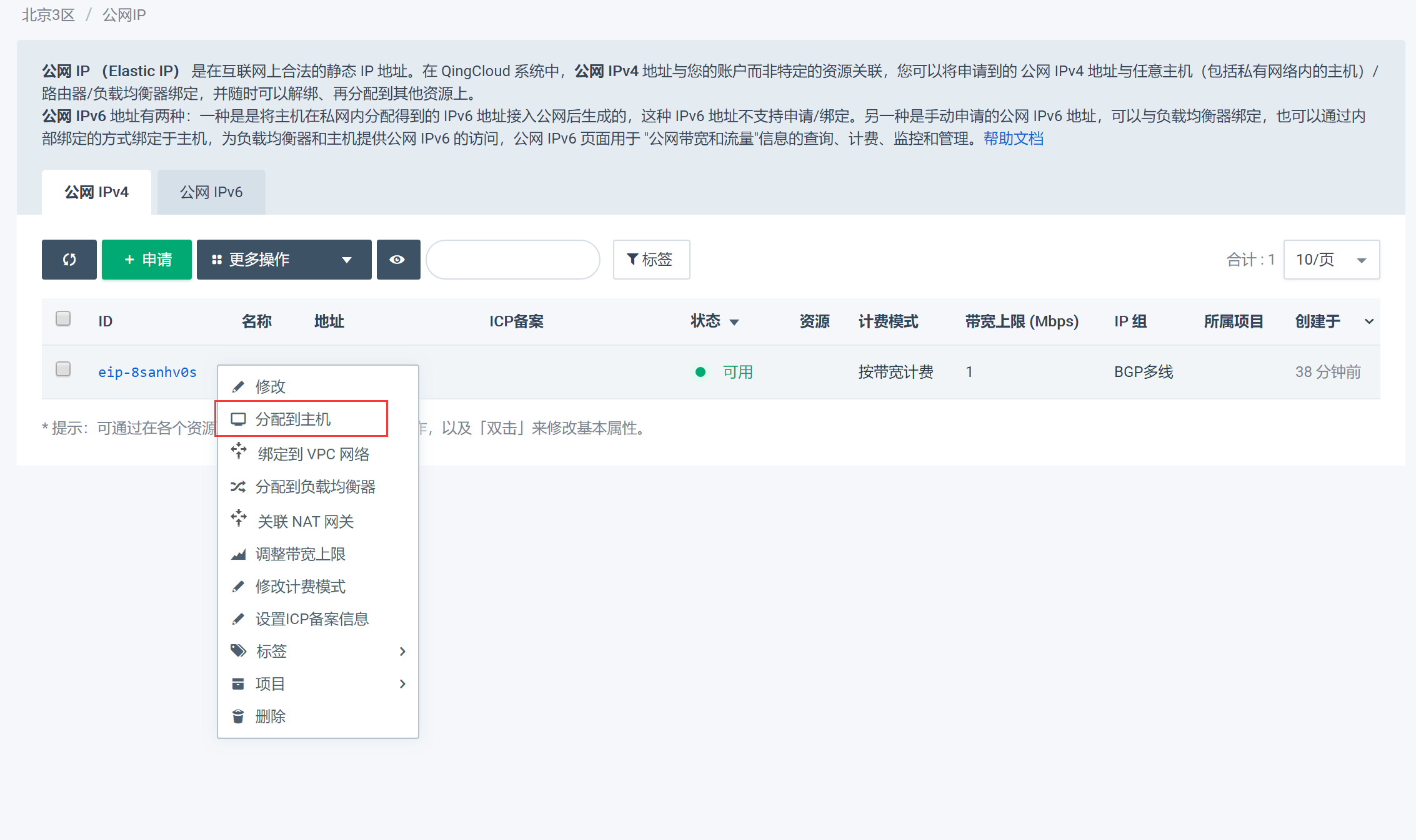 绑定公网IP至主机